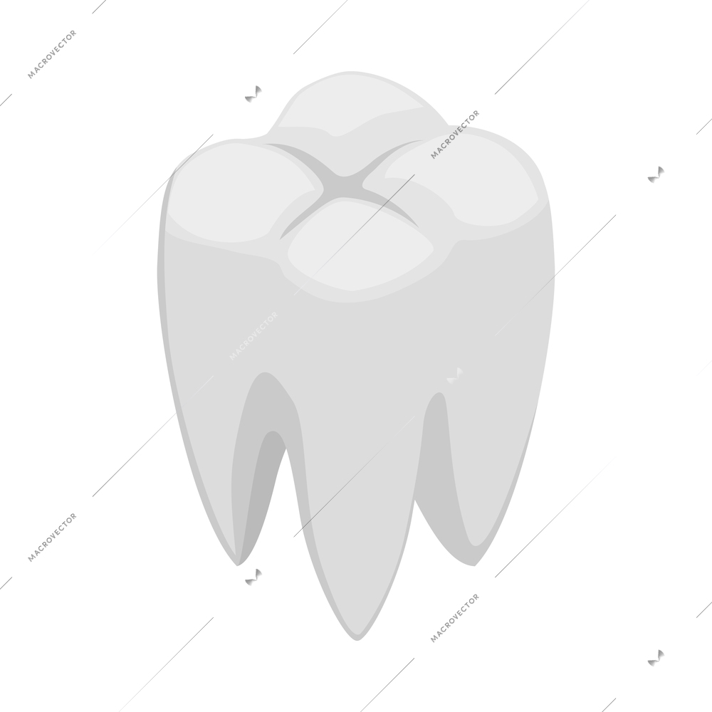 Isometric white human tooth on blank background 3d vector illustration