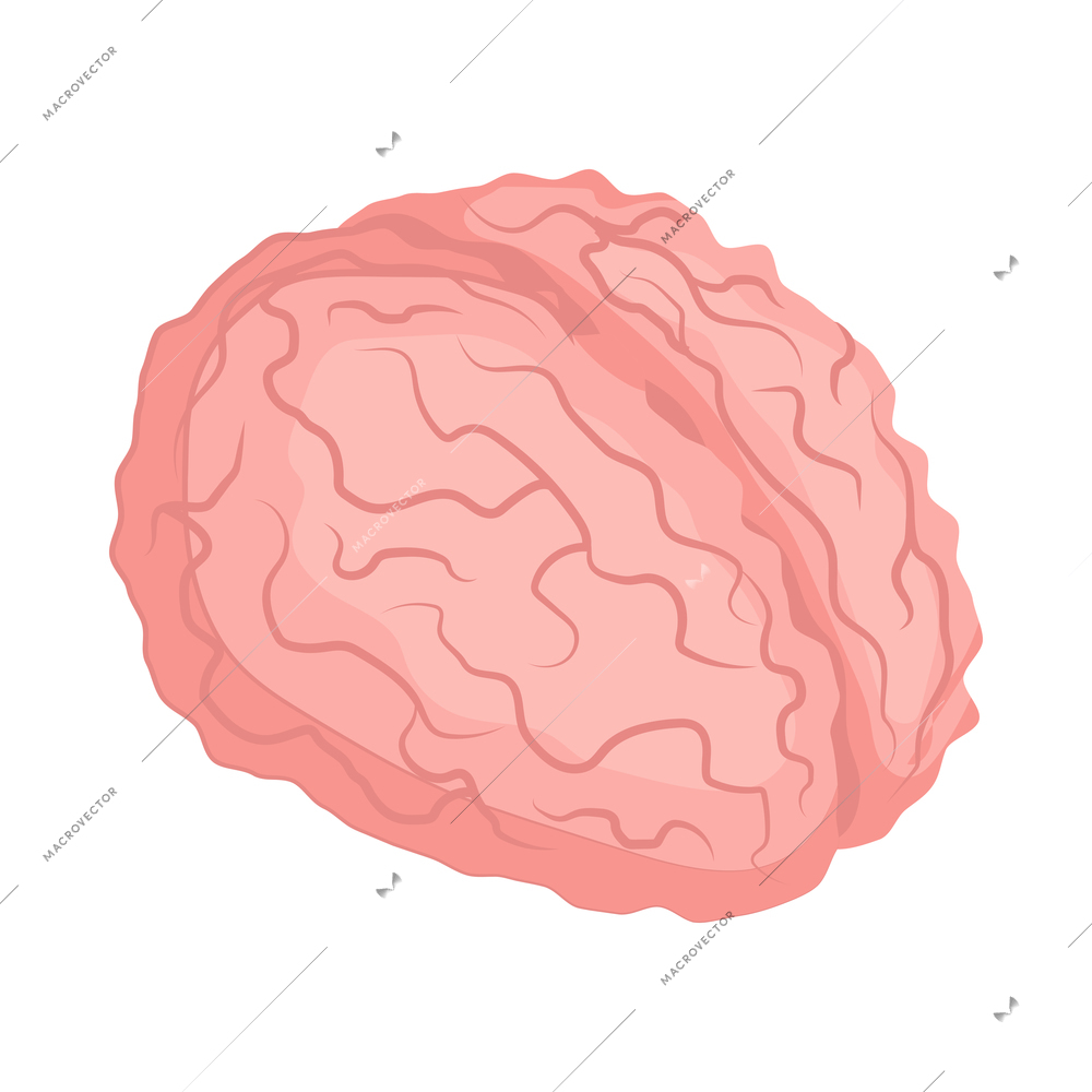 Isometric human brain on white background 3d vector illustration