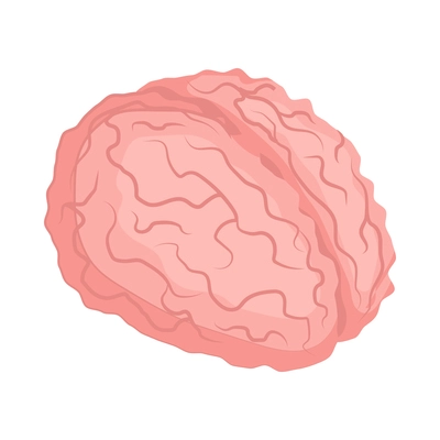 Isometric human brain on white background 3d vector illustration