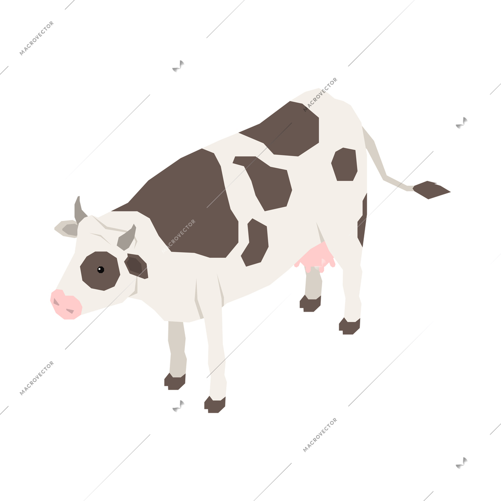 Isometric dairy cow on white background 3d vector illustration