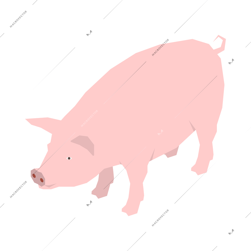 Isometric pink pig on white background 3d vector illustration