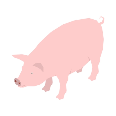 Isometric pink pig on white background 3d vector illustration