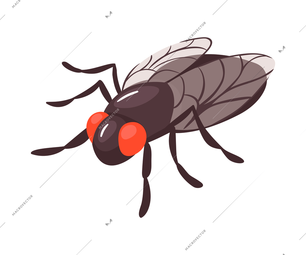 Isometric color fly on white background 3d vector illustration