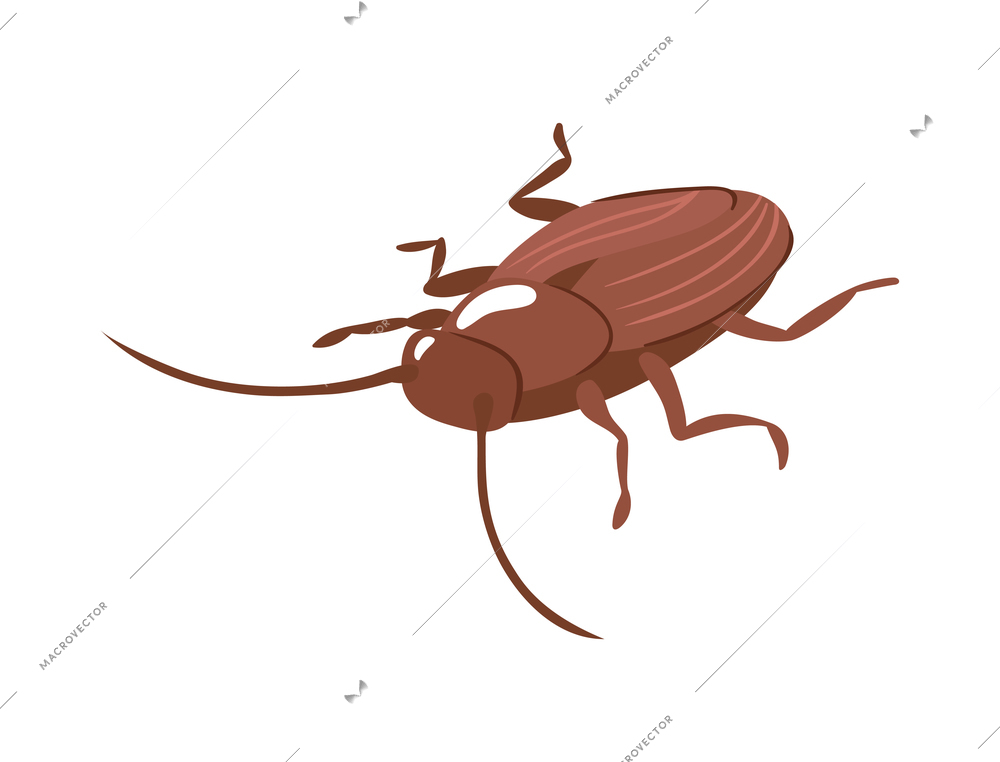 Isometric brown cockroach on white background 3d vector illustration