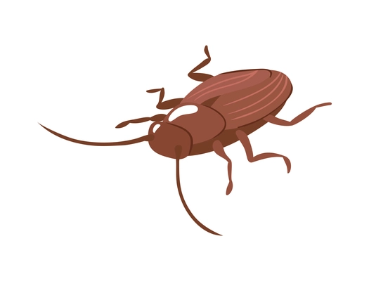 Isometric brown cockroach on white background 3d vector illustration