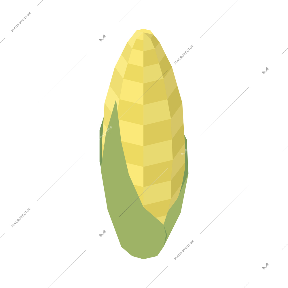 Corn cob isometric icon on white background 3d vector illustration