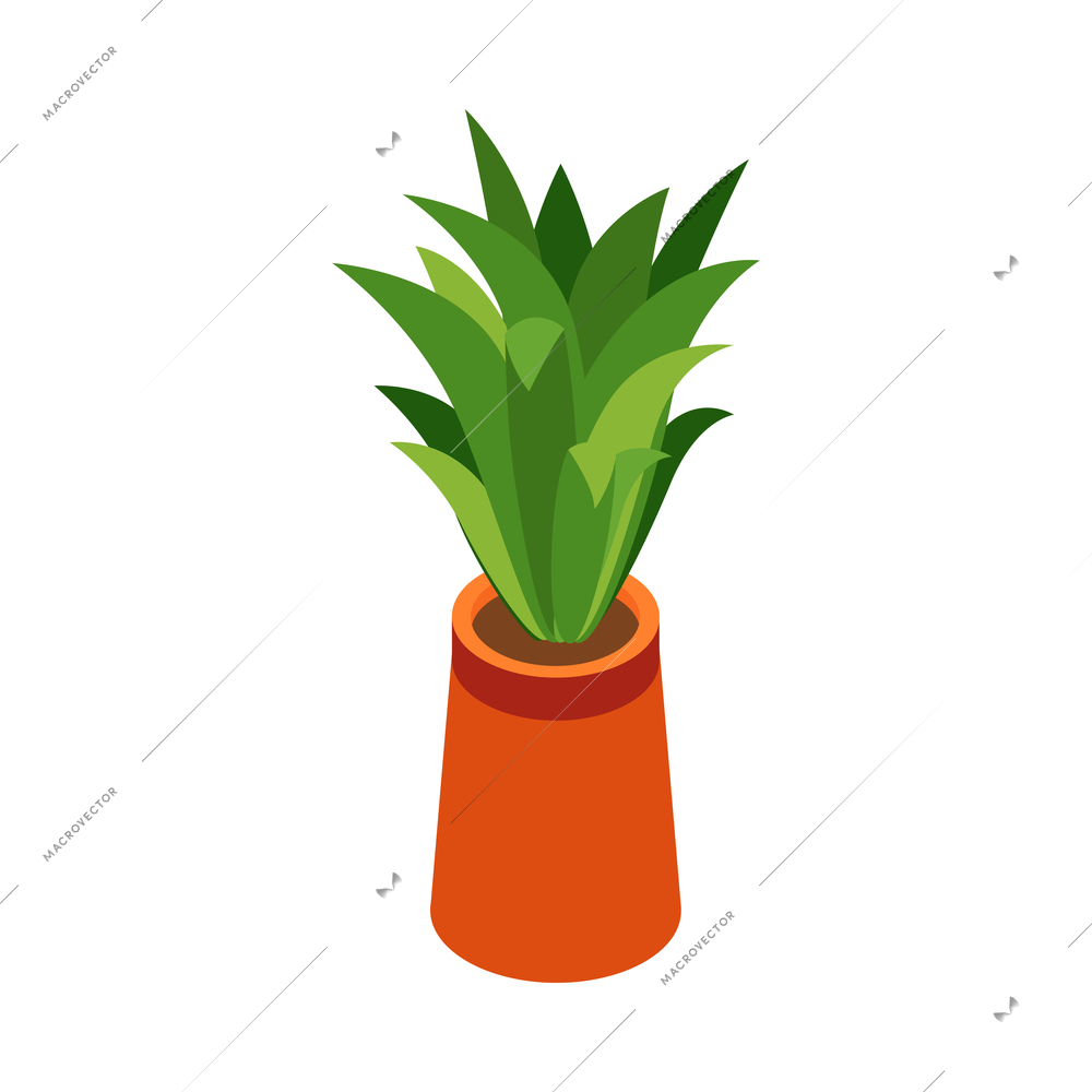 Isometric green potted plant for house or office interior 3d vector illustration