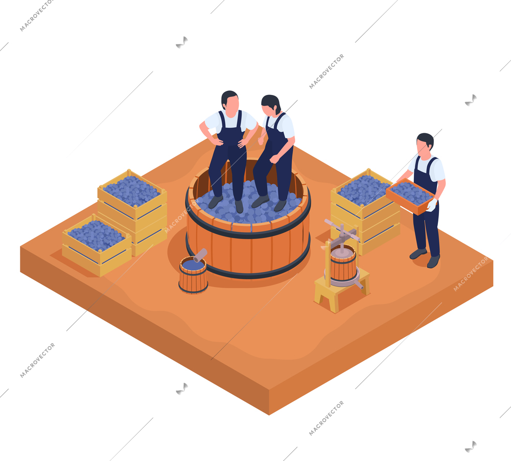 Wine production isometric composition with ripe grapes in wooden boxes and workers crushing them 3d vector illustration