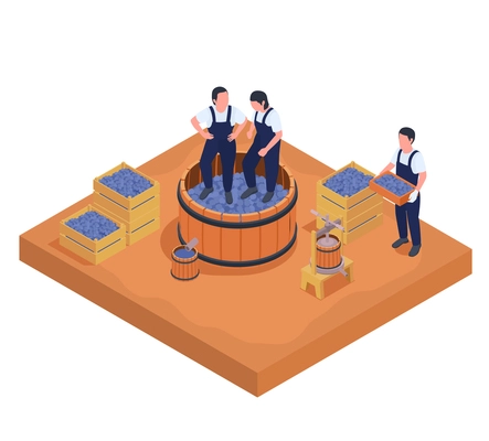 Wine production isometric composition with ripe grapes in wooden boxes and workers crushing them 3d vector illustration