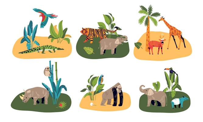 Jungle design concept with set of six isolated compositions of wild tropical animals and exotic plants vector illustration