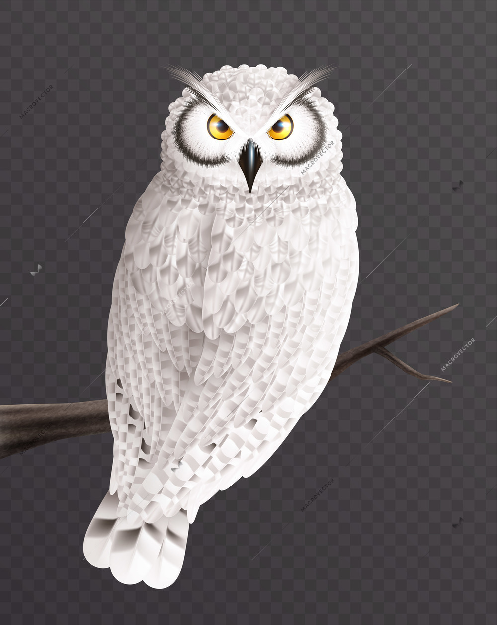 Snowy owl realistic composition with isolated image of bird with white colored feathers on transparent background vector illustration