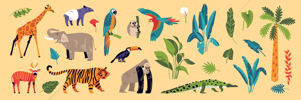 Jungle color set with isolated icons of flora and fauna animal species and exotic rainforest plants vector illustration