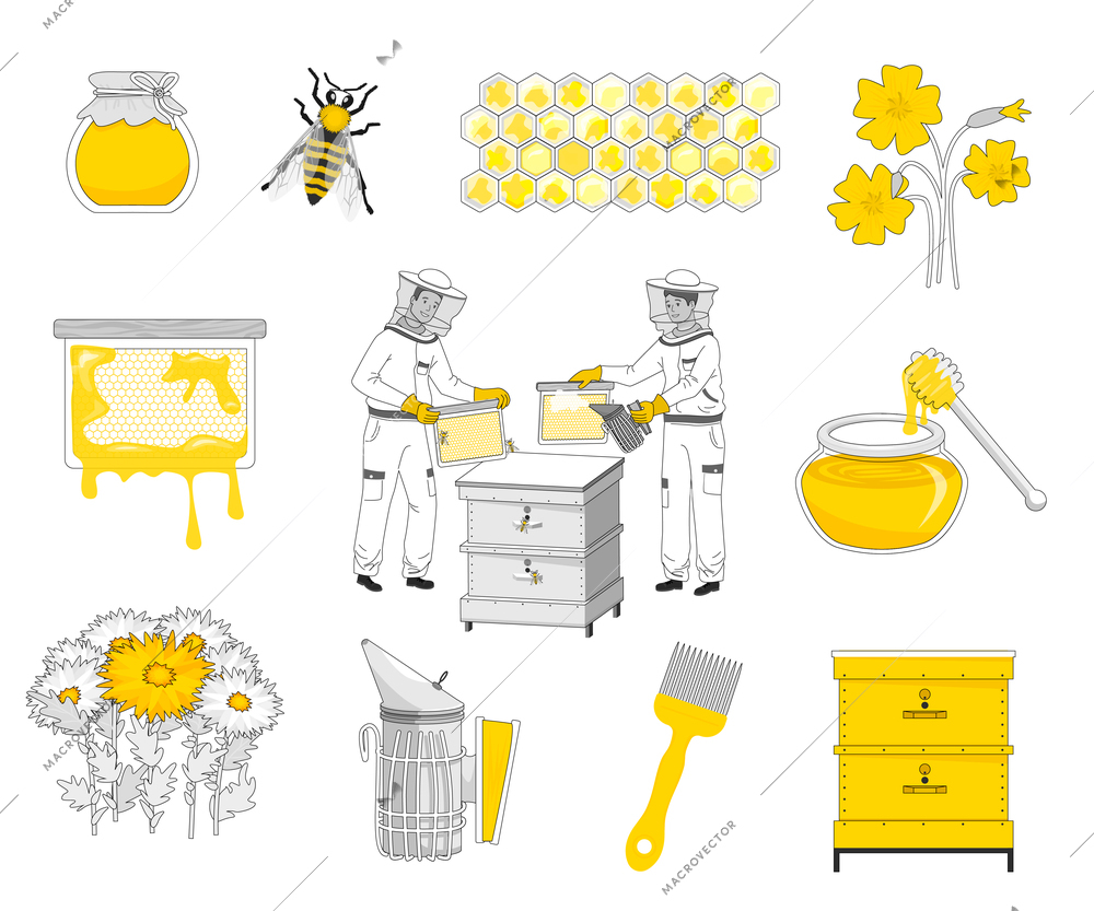 Beekeeping flat recolor set with isolated icons of bee hives cells and honey packed in cans vector illustration