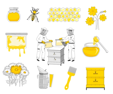 Beekeeping flat recolor set with isolated icons of bee hives cells and honey packed in cans vector illustration