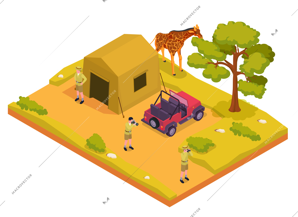 Safari isometric colored concept three campers stand next to tent in the wilderness and giraffe walks on the grounds vector illustration