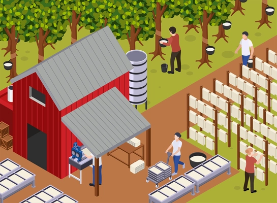 Rubber production isometric composition with outdoor scenery and workers with trees sap barn and mold tables vector illustration