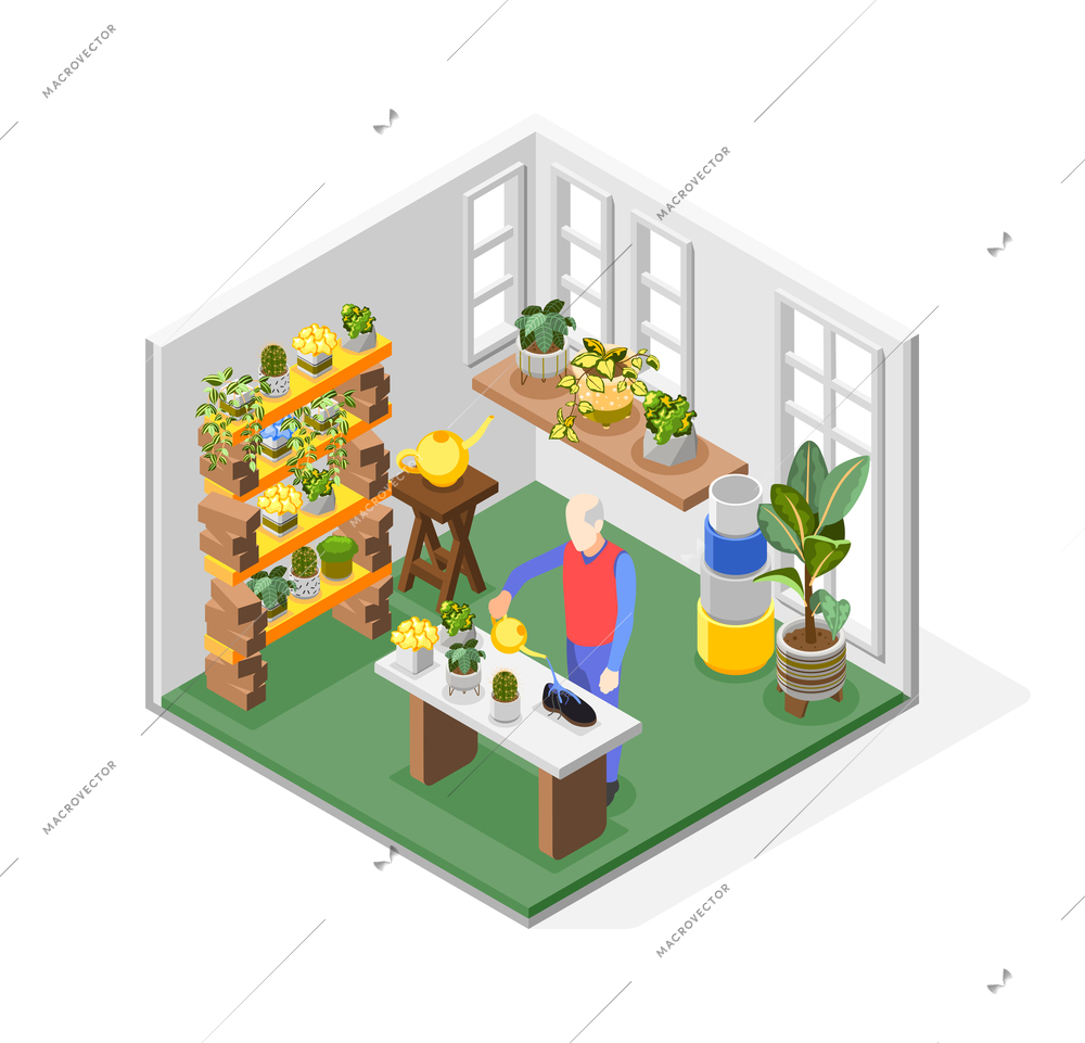 Elderly man with dementia symptoms watering his shoe instead of flowers isometric composition 3d vector illustration