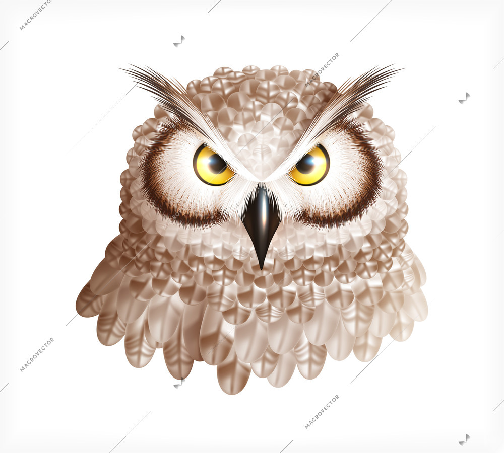 Owl head composition with isolated image of birds head with detailed feathers view on blank background vector illustration