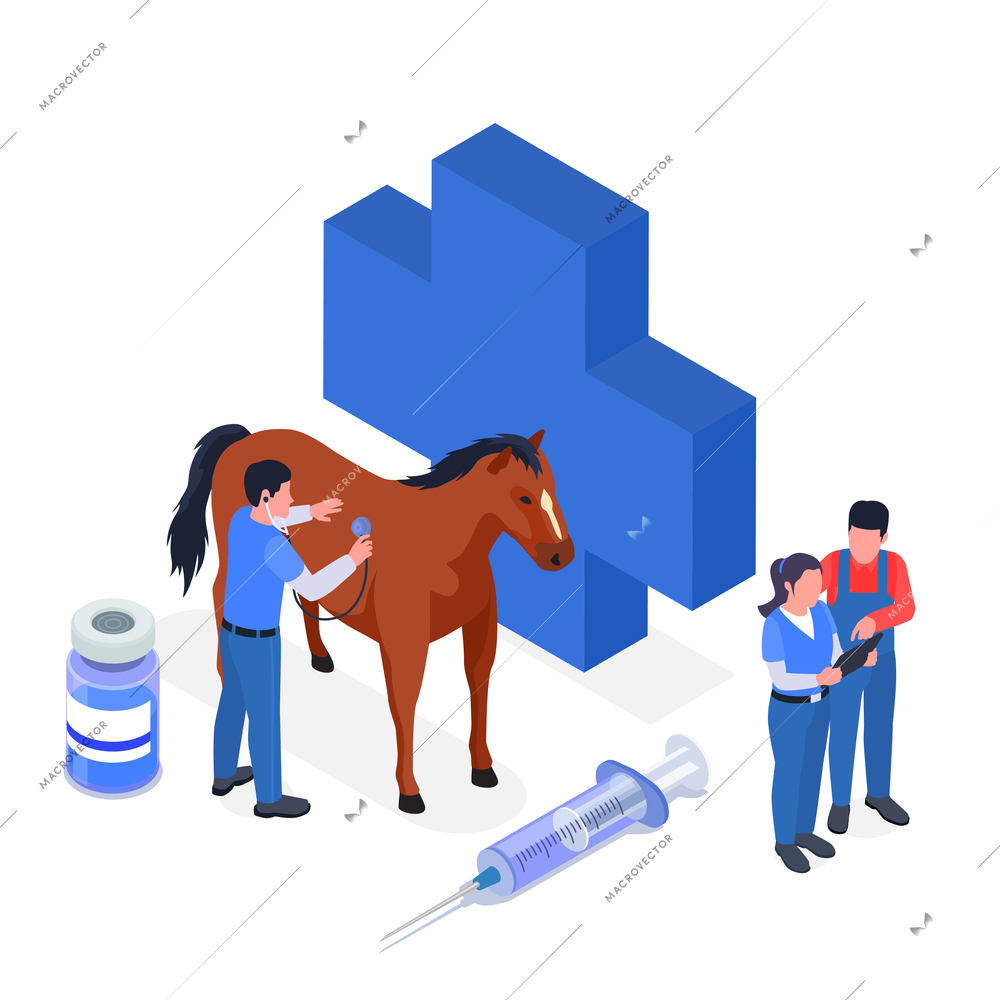 Isometric farm animals veterinary icon set an abstract situation with medical logo horse medicines and veterinarian vector illustration