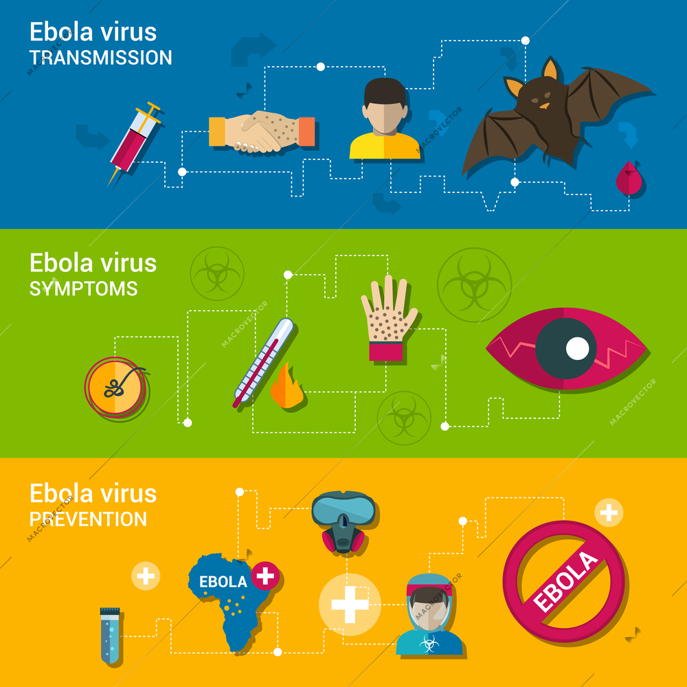 Ebola virus flat banners set with transmission symptoms and prevention elements isolated vector illustration