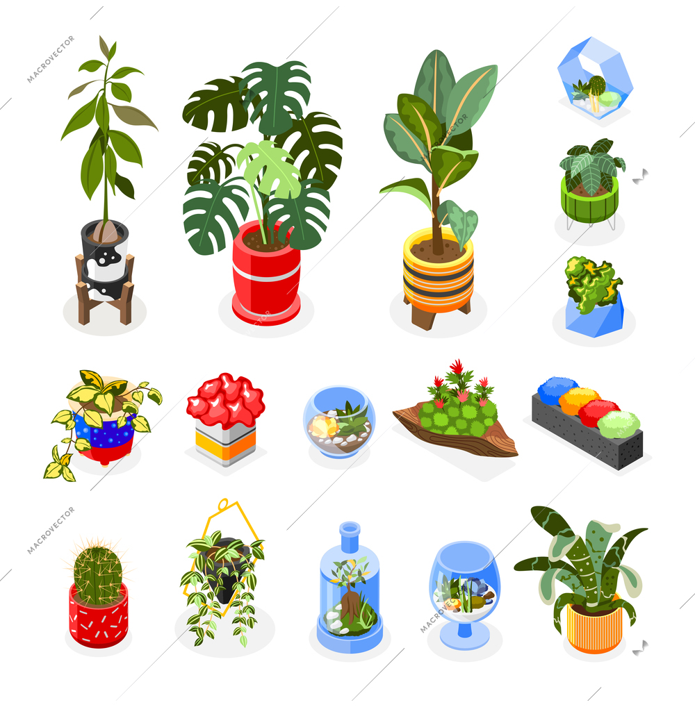 Plants isometric icons set with houseplants and hanging decoration isometric isolated vector illustration