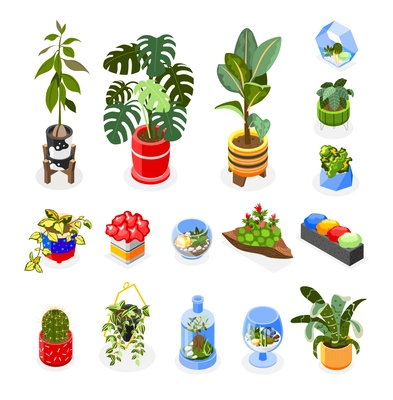 Plants isometric icons set with houseplants and hanging decoration isometric isolated vector illustration