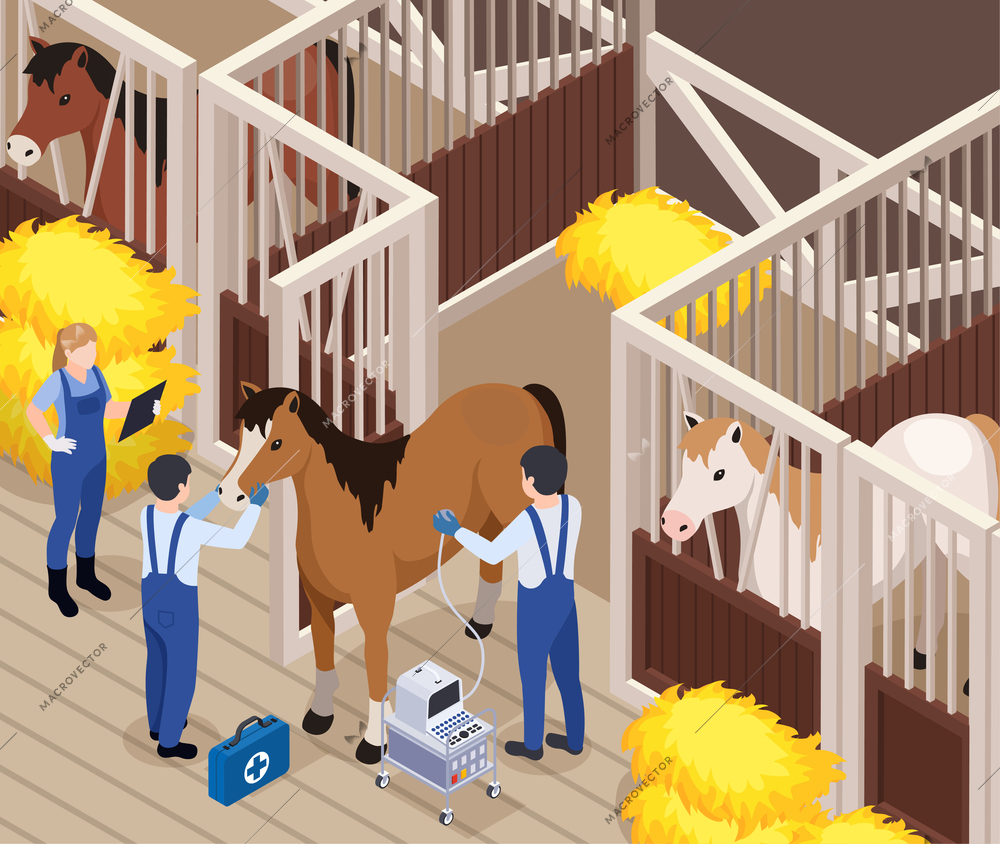 Farm animals livestock veterinary isometric composition with horse barn indoor scenery and vets brigade examining horse vector illustration