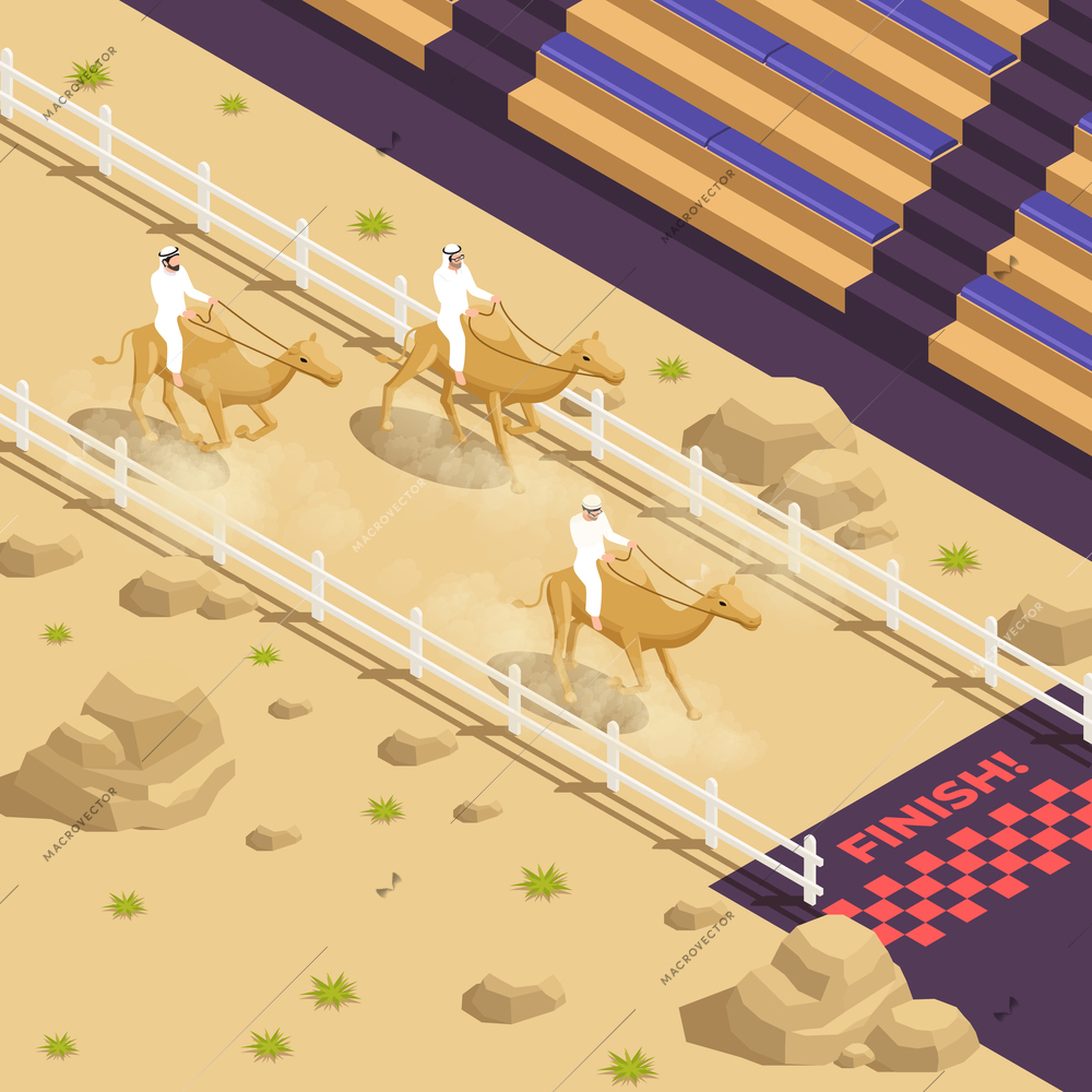 Arab muslims saudi modern isometric people composition three men compete in a camel race vector illustration