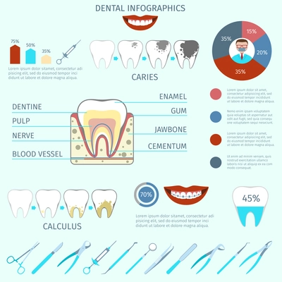 Dental care instruments infographics set with tooth and pie chart vector illustration