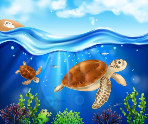 Turtle life cycle realistic background with baby hatching in sand juvenile and adult tortoises swimming in sea vector illustration