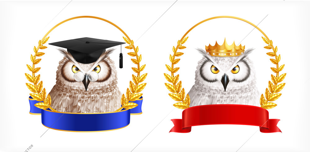 Set of two isolated emblems with images of realistic owl laurel wreath and empty ribbon badge vector illustration