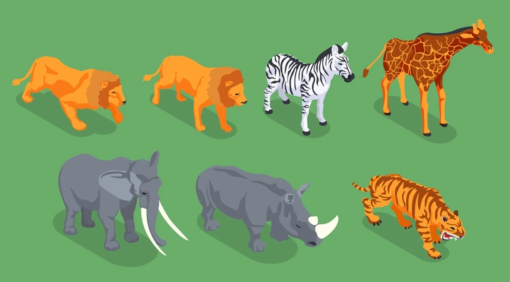 Isometric safari icon set with two lions zebra giraffe rhinoceros elephant and tiger vector illustration