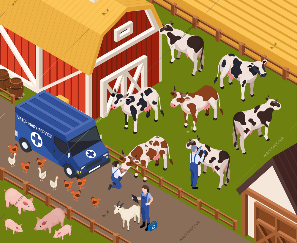 Farm animals livestock veterinary isometric composition with barn buildings and van with vet characters curing animals vector illustration