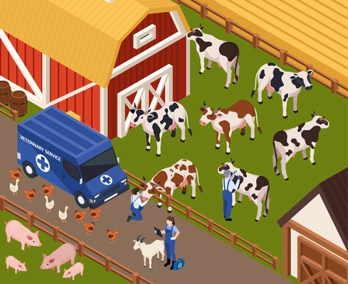 Farm animals livestock veterinary isometric composition with barn buildings and van with vet characters curing animals vector illustration