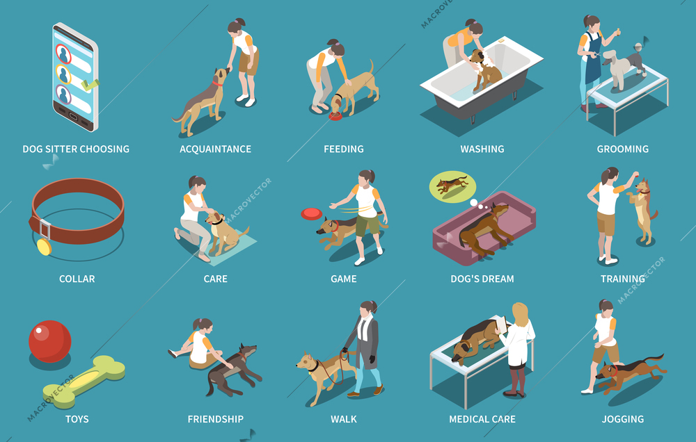 Dog sitter walker isometric set with feeding and washing symbols isolated vector illustration