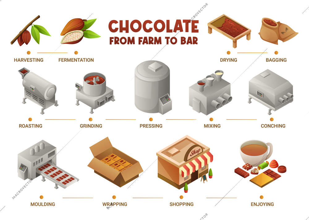 Chocolate production isometric infographics scheme from harvesting to roasting moulding wrapping and shopping vector illustration