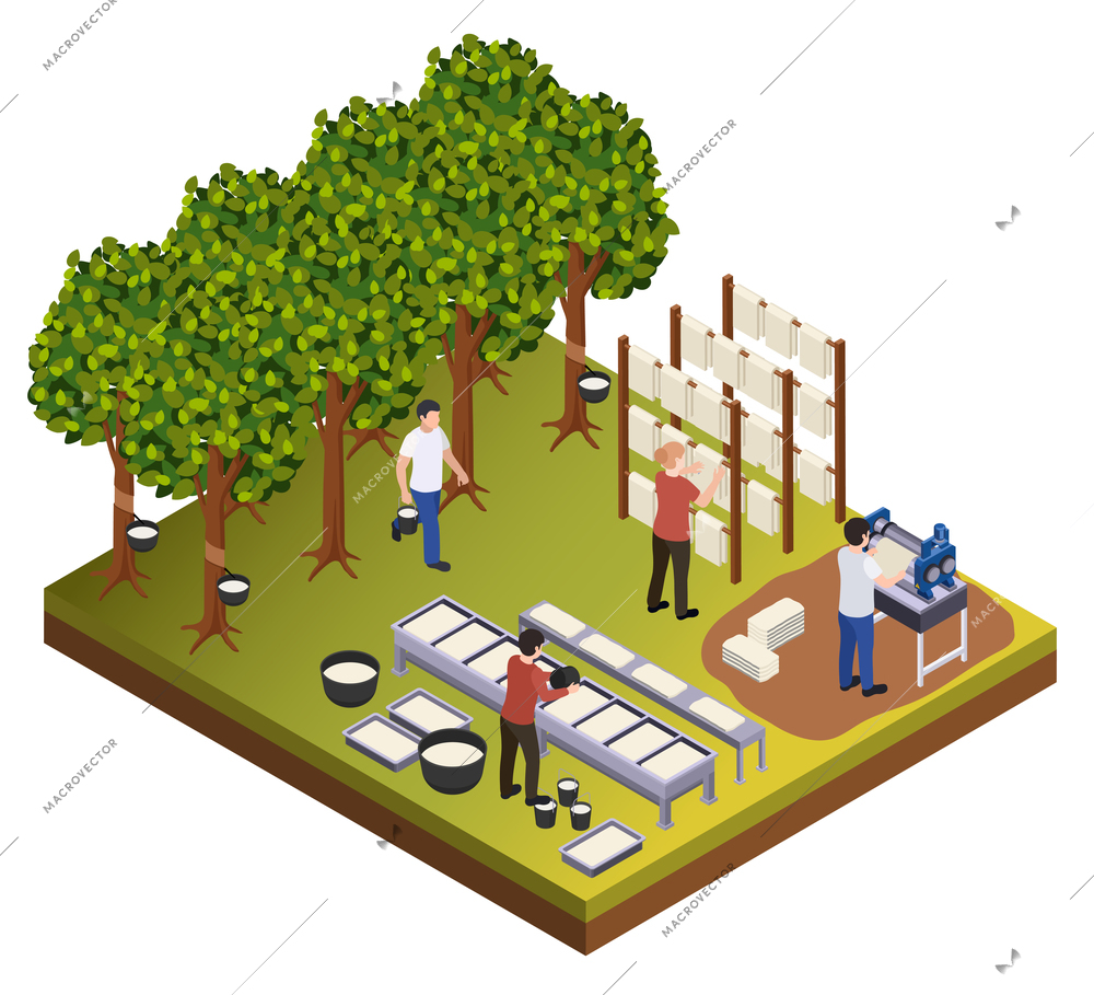 Rubber production isometric composition with people gathering sap from trees pouring molds and drying hanging pieces vector illustration