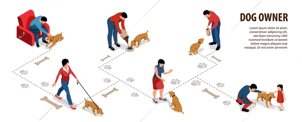 Dog owner infographic set with care and fun symbols isometric vector illustration