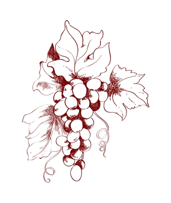 Wine composition with monochrome doodle style image on blank background vector illustration