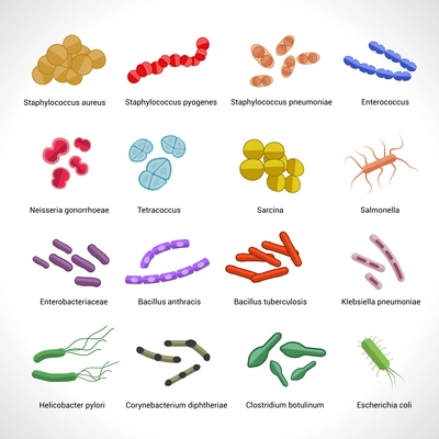 Human intestinal and lungs inflammatory diseases bacteria colony icons set of salmonella tuberculosis abstract isolated vector illustration