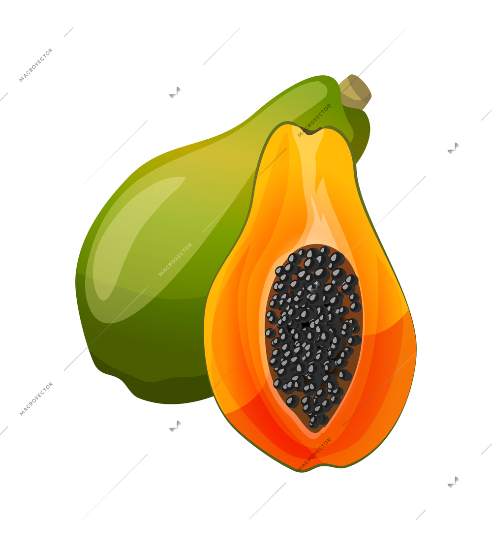 Fresh natural fruit composition with isolated color image of ripe fruit on blank background vector illustration