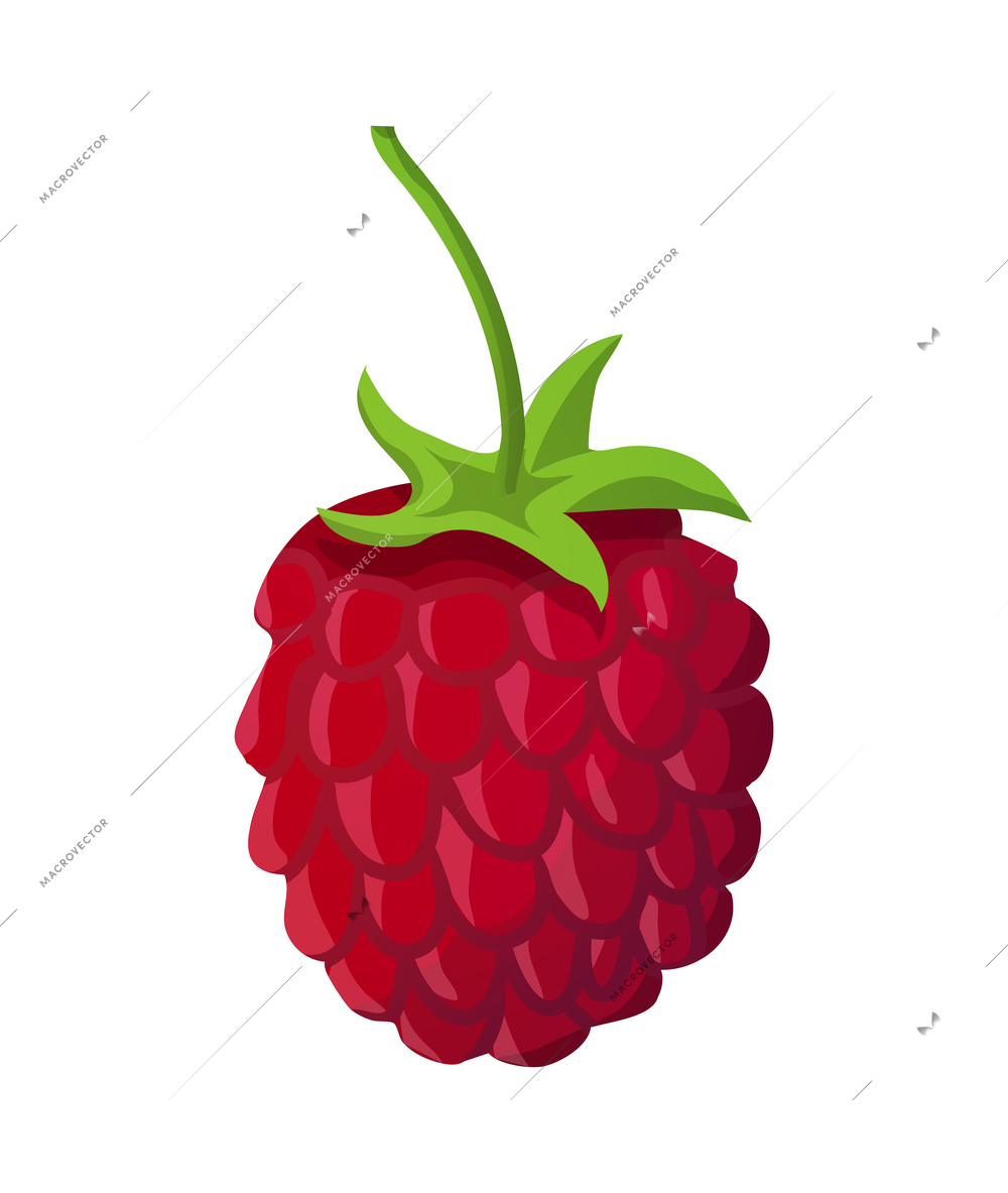 Fresh natural fruit composition with isolated color image of ripe fruit on blank background vector illustration