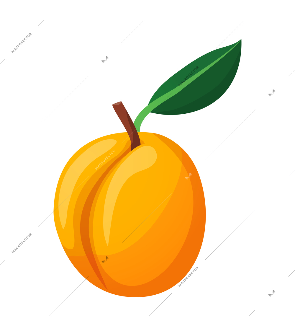 Fresh natural fruit composition with isolated color image of ripe fruit on blank background vector illustration