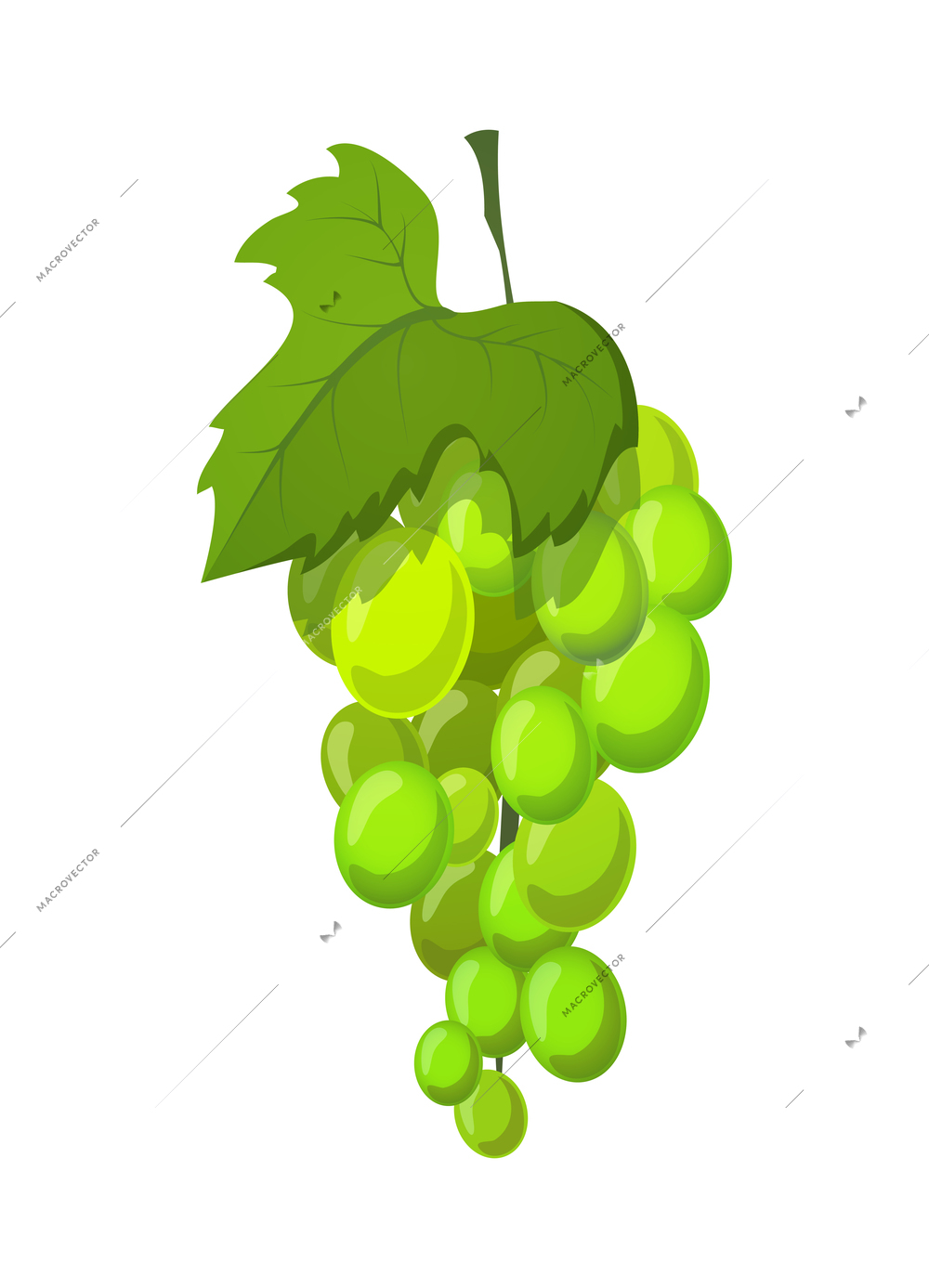 Fresh natural fruit composition with isolated color image of ripe fruit on blank background vector illustration