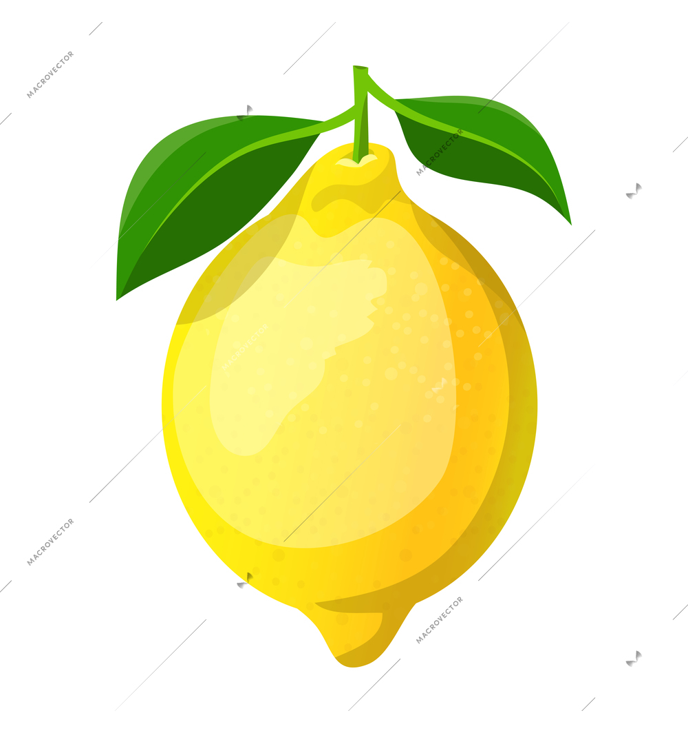 Fresh natural fruit composition with isolated color image of ripe fruit on blank background vector illustration