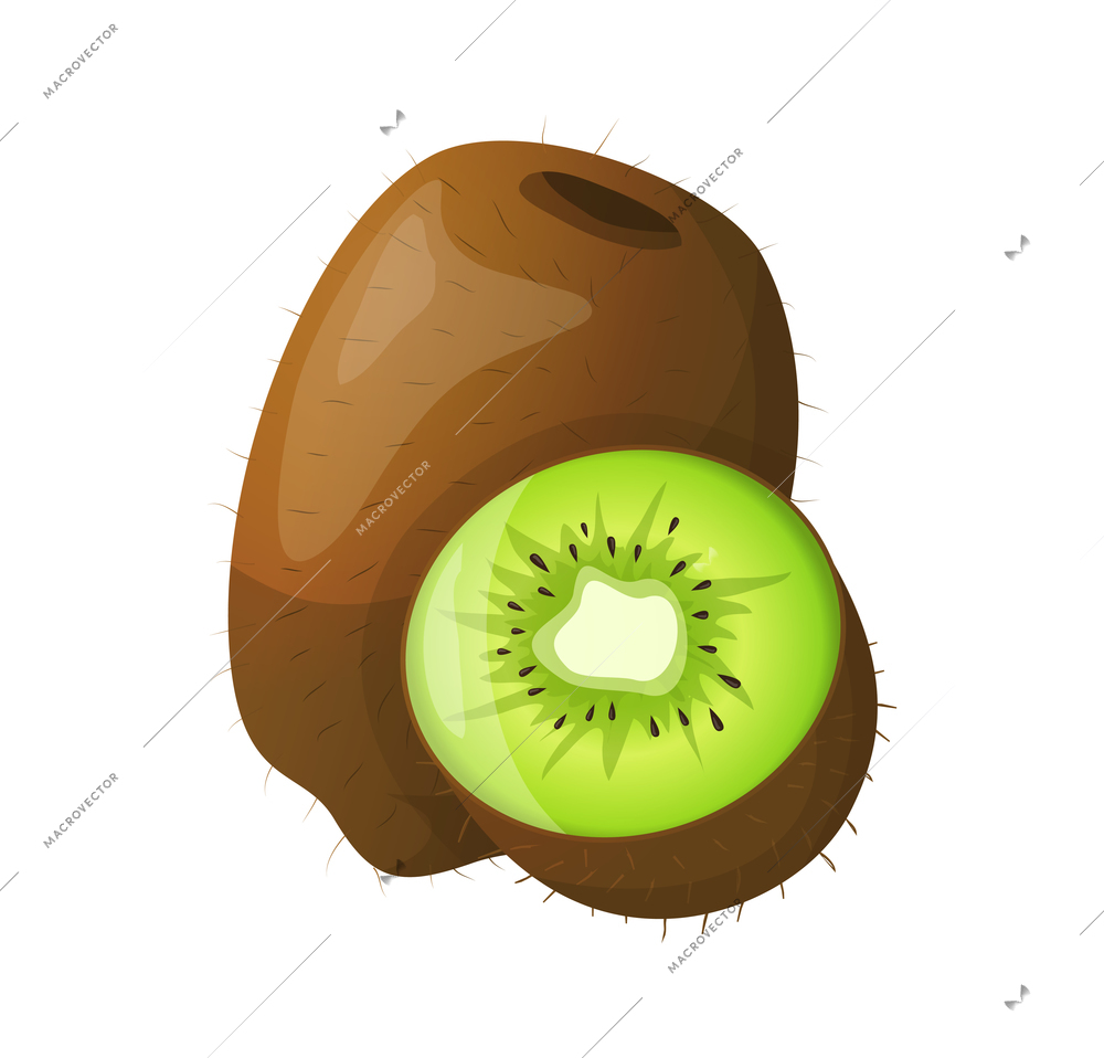 Fresh natural fruit composition with isolated color image of ripe fruit on blank background vector illustration