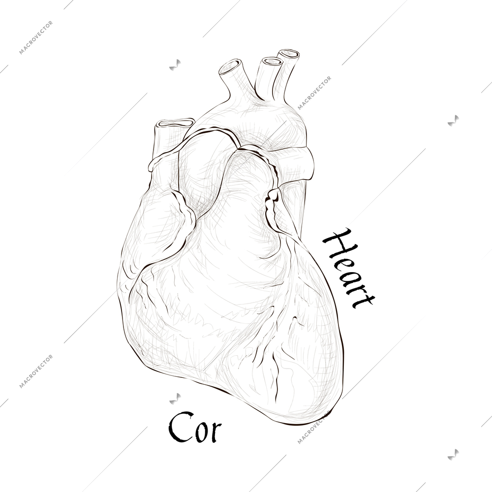 How to Work on a Drawing Composition  HubPages