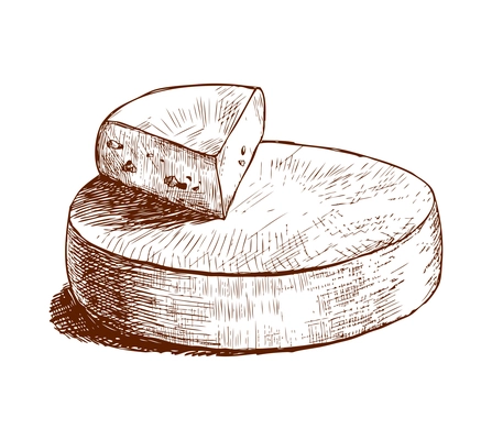 Cheese sketch composition with isolated colorful image of food piece with cross hatching vector illustration