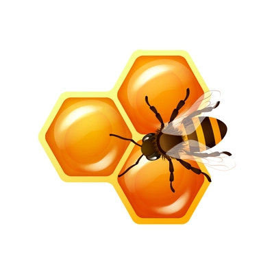 Honey composition with isolated realistic agriculture icon on blank background vector illustration