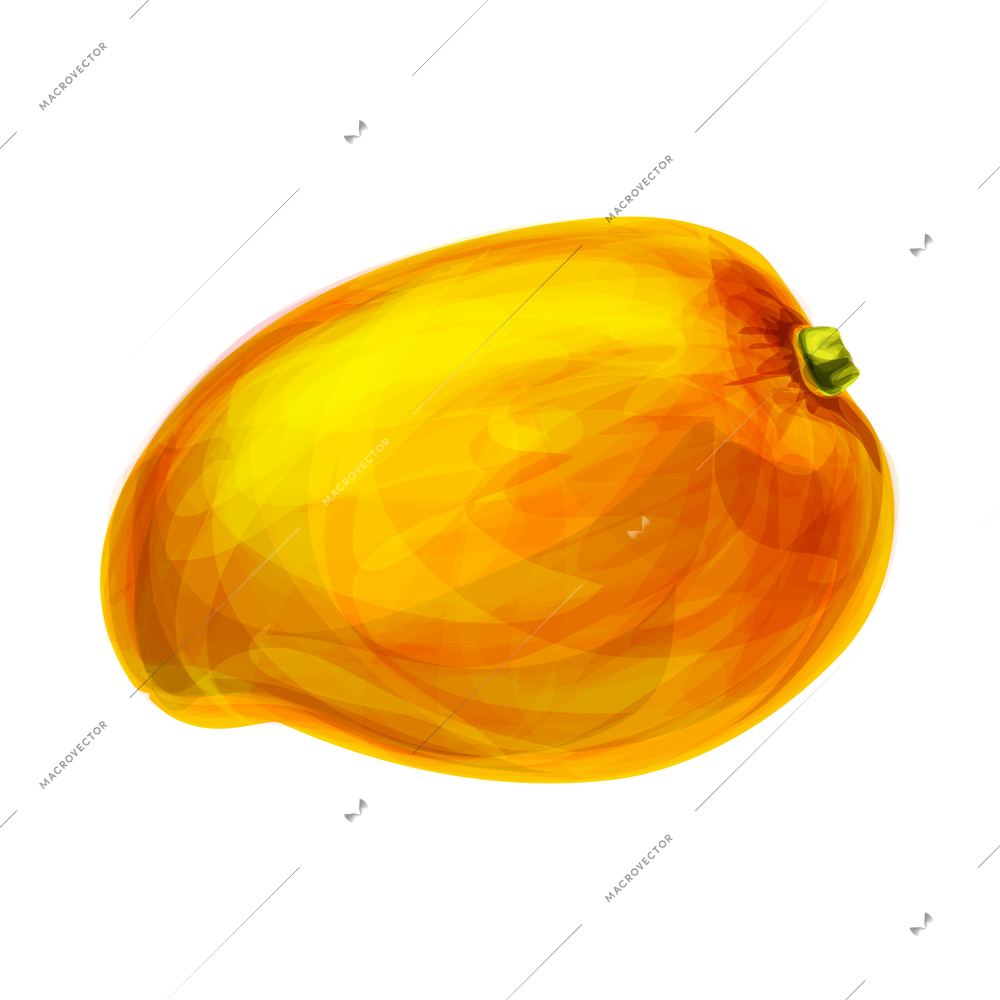 Fresh tropical organic fruits composition with isolated hand drawn sketch style image of fruit vector illustration